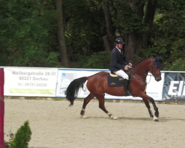 Reitturnier Karlsfeld 2023