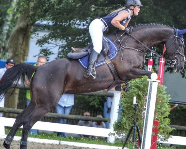 Carolin Selle