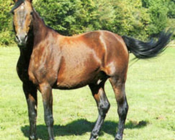 stallion Beausejour II (FR) (French Trotter, 1967, from Kerjacques (FR))