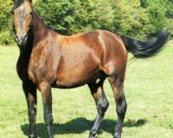 stallion Beausejour II (FR) (French Trotter, 1967, from Kerjacques (FR))