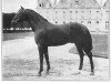 stallion Interméde (FR) (French Trotter, 1908, from Bemecourt (FR))