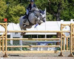 Springpferd Orphy van de Kruishoeve (Belgisches Warmblut, 2014, von Elvis Ter Putte)