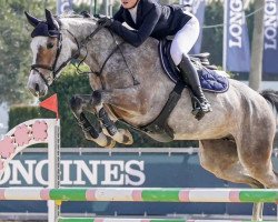 jumper Marthe D'Ecaussinnes (Belgium Sporthorse, 2018, from Le Coultre de Muze)