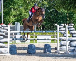 Springpferd Nasty Boy de Muze (Belgisches Warmblut, 2013, von Bamako de Muze)