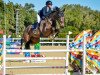 jumper Killer du Grand Moustier (Belgium Sporthorse, 2016, from Kannan)