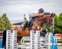 jumper Caramia AH (German Sport Horse, 2017, from Carleyle)