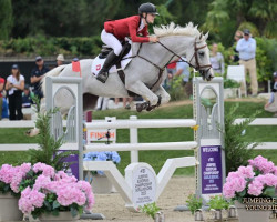 jumper Die Kleine Lady (Hungarian Warmblood, 2009, from Der kleine Lord)