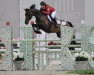 jumper Clearwater Pp Z (Zangersheide riding horse, 2012, from Clearway)