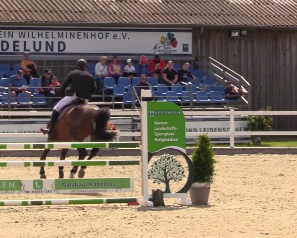 Reitturnier Ladelunder Springtage 2023