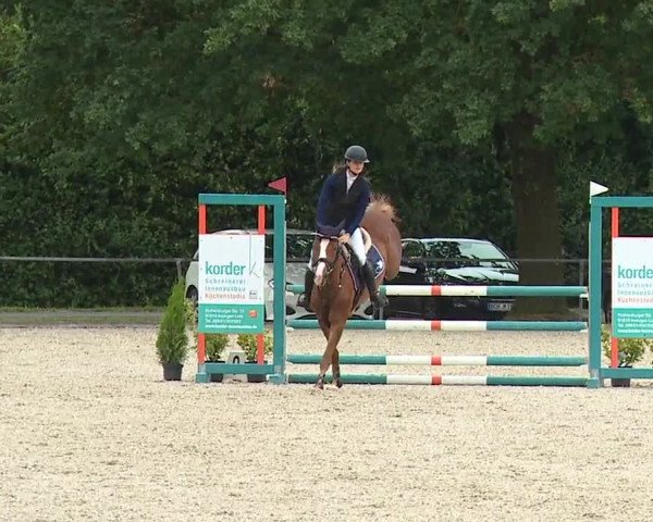 Reitturnier Rot am See- Musdorf 2023
