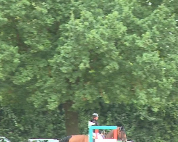 Reitturnier Rot am See- Musdorf 2023