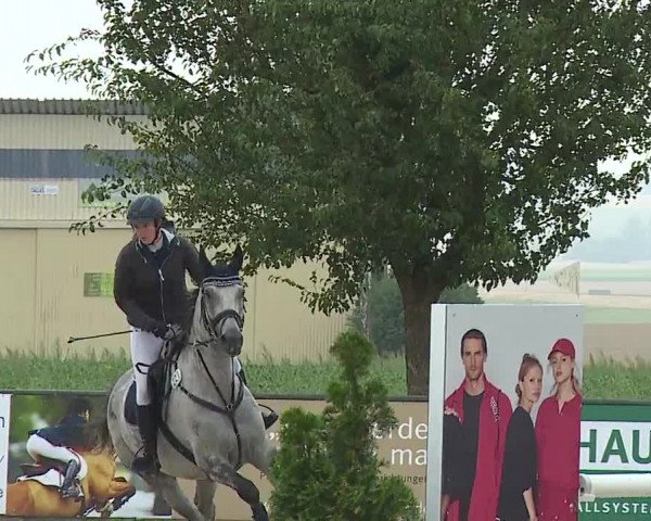 Reitturnier Rot am See- Musdorf 2023