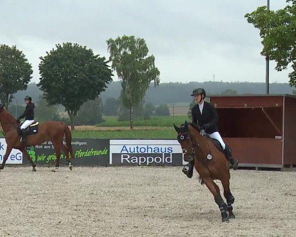 Reitturnier Rot am See- Musdorf 2023
