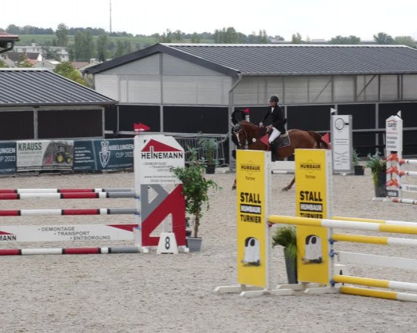 Reitturnier Worms-Pfeddersheim / Reitsportanlage Wittemer 2023