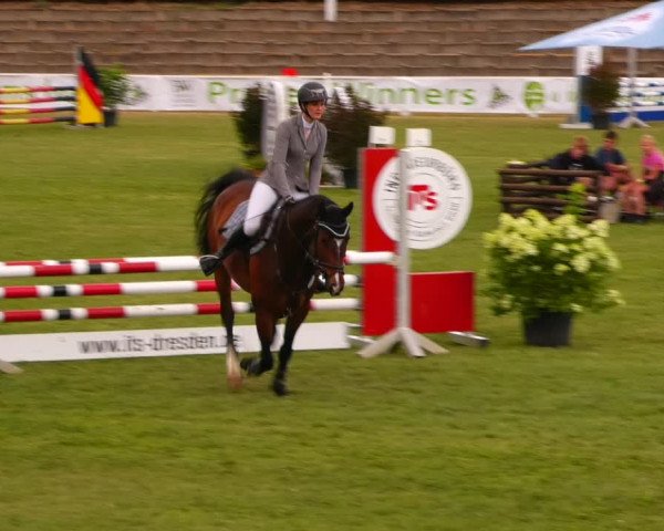 Reitturnier Baschütz bei Bautzen 2023