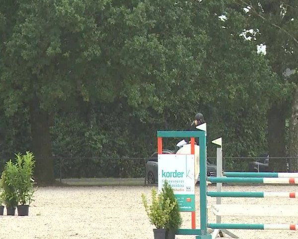Reitturnier Rot am See- Musdorf 2023