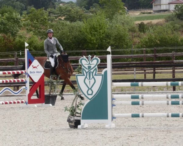 Reitturnier Worms-Pfeddersheim / Reitsportanlage Wittemer 2023