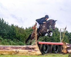 broodmare Schmucke Deern 4 (German Riding Pony, 2015, from Don Mour)