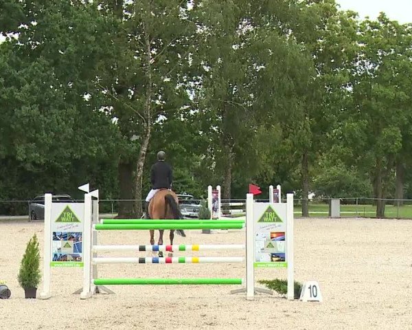 Reitturnier Rot am See- Musdorf 2023