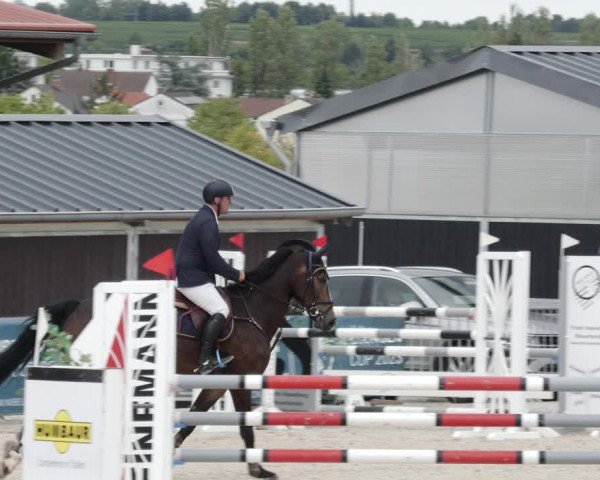 Reitturnier Worms-Pfeddersheim / Reitsportanlage Wittemer 2023