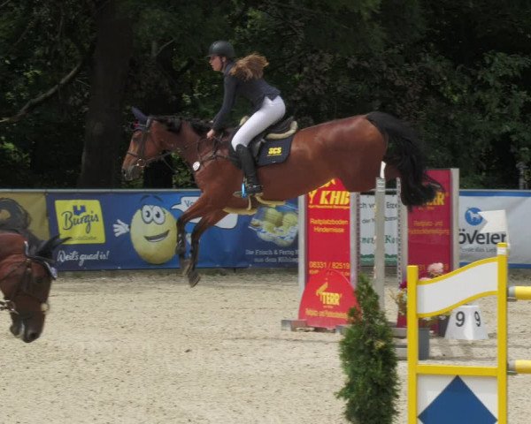 Reitturnier Karlsfeld 2023