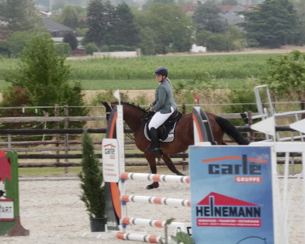 Reitturnier Worms-Pfeddersheim / Reitsportanlage Wittemer 2023