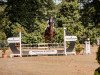 jumper Cornetto K 4 (Hanoverian, 2017, from Cornet Obolensky)