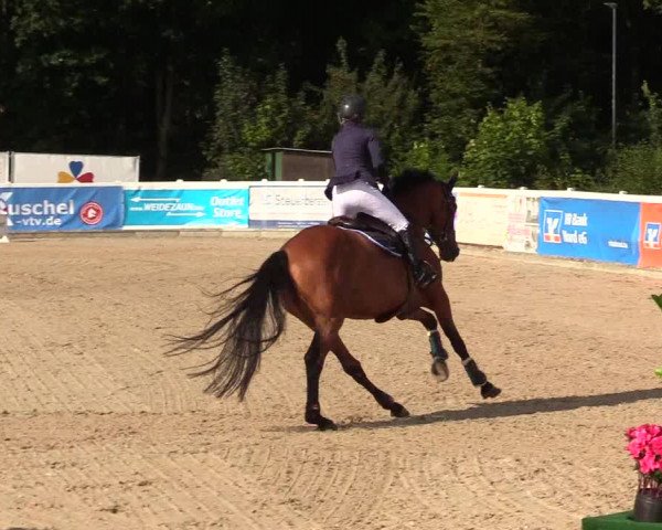 Reitturnier Ladelunder Springtage 2023