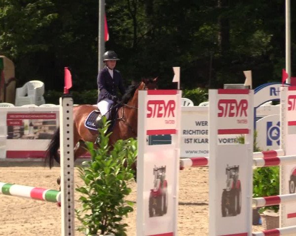 Reitturnier Ladelunder Springtage 2023