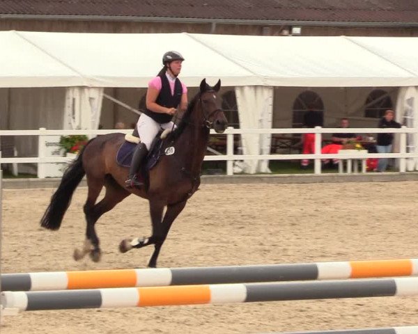 Reitturnier Ladelunder Springtage 2023