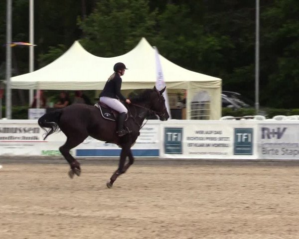 Reitturnier Ladelunder Springtage 2023