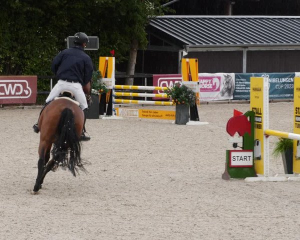 Reitturnier Worms-Pfeddersheim / Reitsportanlage Wittemer 2023