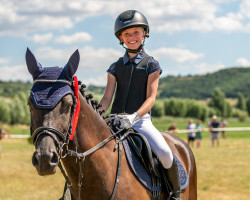 broodmare Samira 430 (German Riding Pony, 2011, from Prinsenhof's Dino)