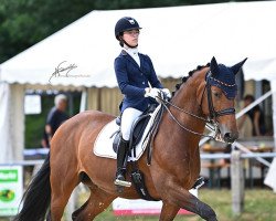 dressage horse Dynamic Pleasure (Rhinelander, 2009, from Delatio)