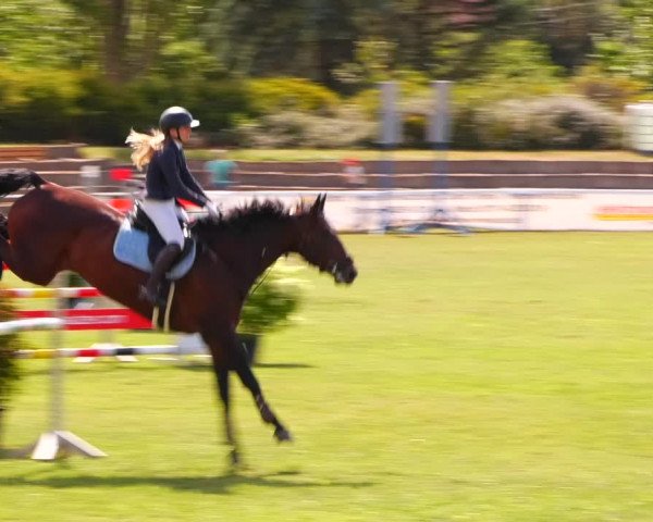Reitturnier Baschütz bei Bautzen 2023