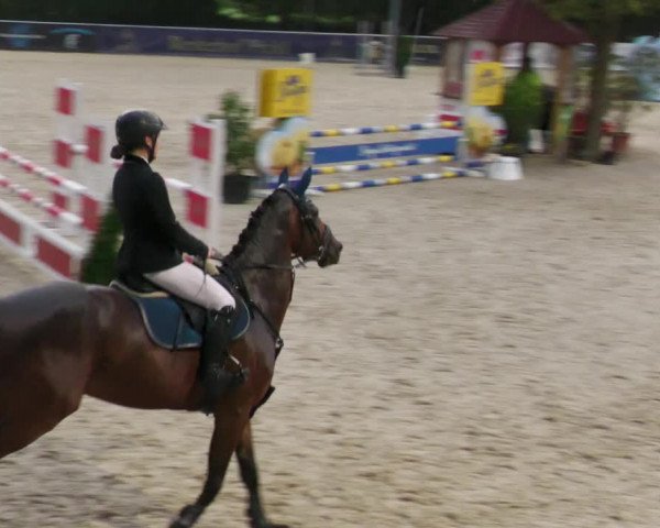 Reitturnier Karlsfeld 2023