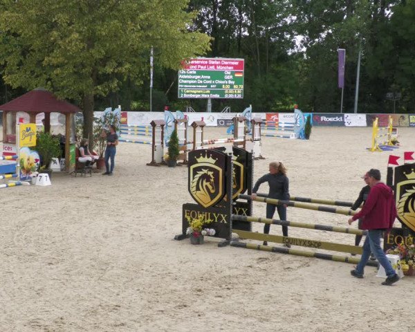 Reitturnier Karlsfeld 2023