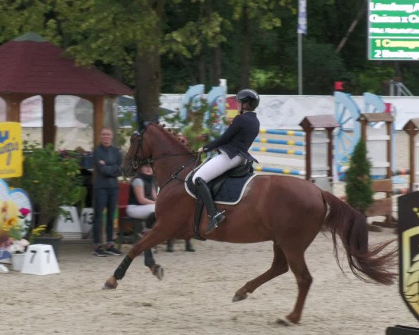 Reitturnier Karlsfeld 2023