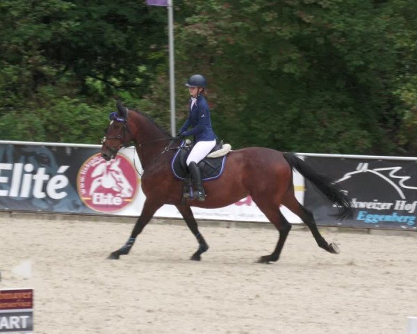 Reitturnier Karlsfeld 2023