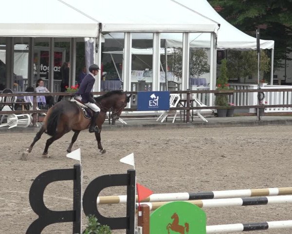 Reitturnier Klein Roscharden 2023