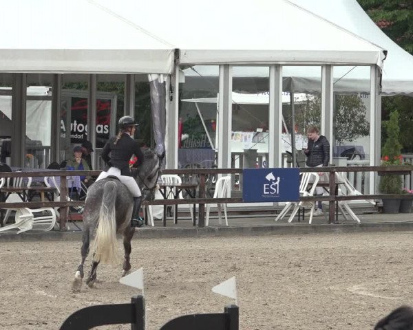 Reitturnier Klein Roscharden 2023