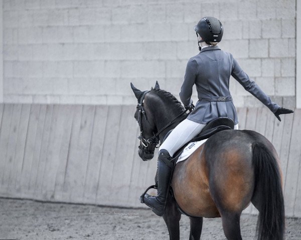 dressage horse Namika Dynamide (German Riding Pony, 2019, from Dropje voor Dropje)