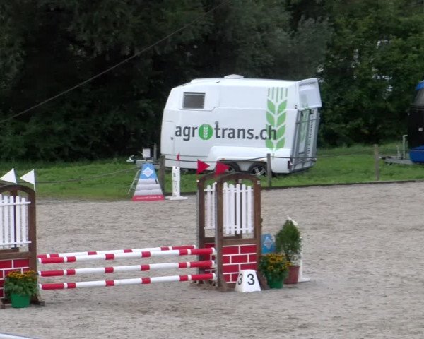 Reitturnier Gossau 2023
