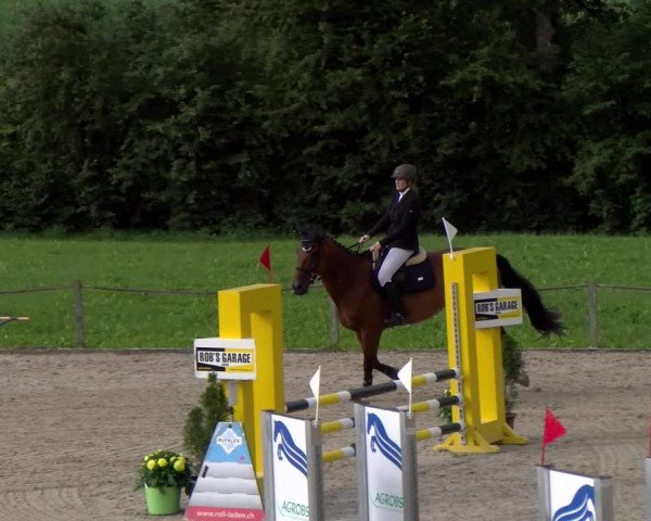 Reitturnier Gossau 2023