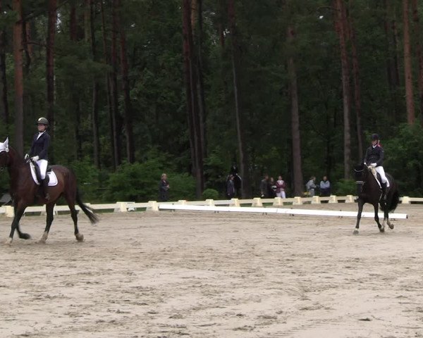 Reitturnier Dannenberg 2023