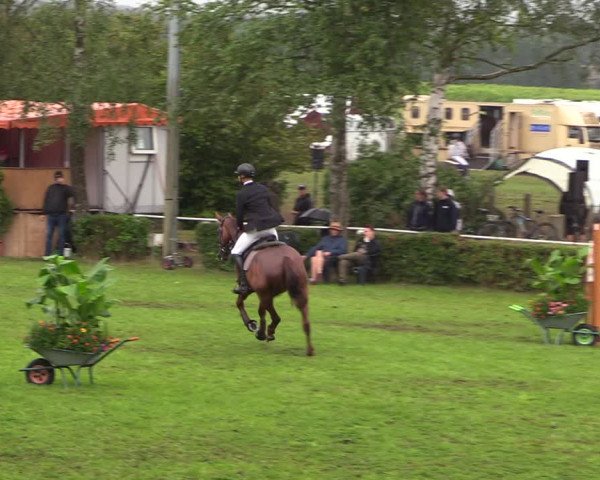 Reitturnier Etingen 2023