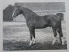 stallion Domänenrat I (Hanoverian, 1950, from Dömitz I)