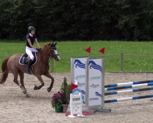 Reitturnier Gossau 2023
