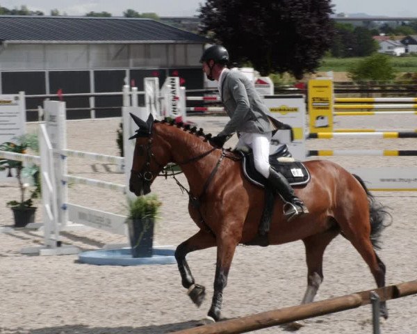 Reitturnier Worms-Pfeddersheim / Reitsportanlage Wittemer 2023