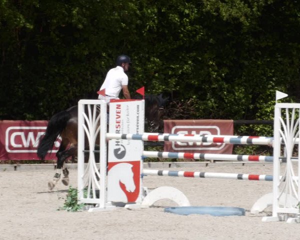 Reitturnier Worms-Pfeddersheim / Reitsportanlage Wittemer 2023